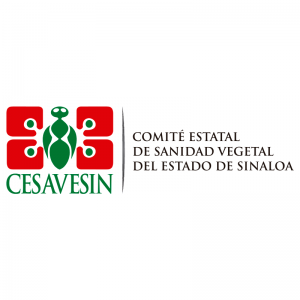 AL INSTANTE COMUNICACIONES - CESAVESIN